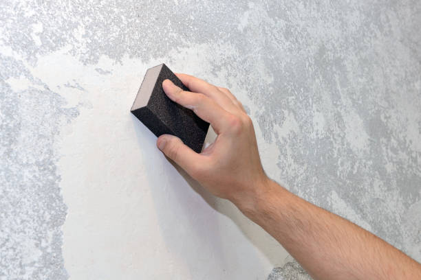 Best Attic Mold Removal  in Chehalis, WA