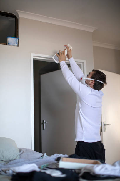 Best Mold Damage Restoration  in Chehalis, WA