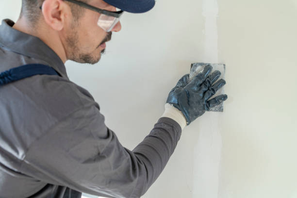 Best Emergency Mold Remediation  in Chehalis, WA