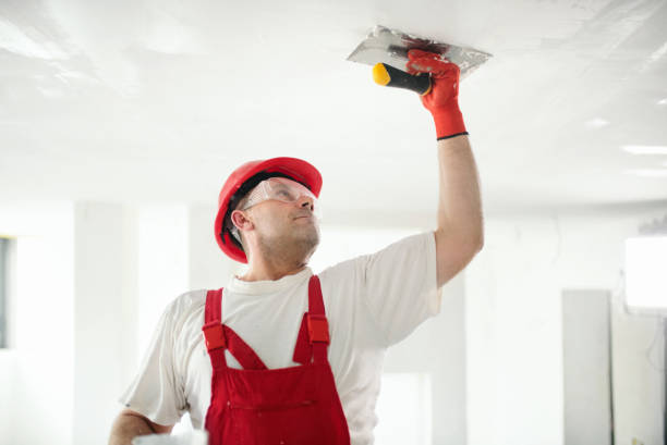 Mold Documentation for Insurance Claims in Chehalis, WA